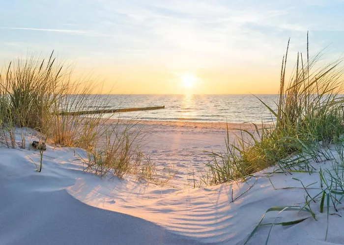 Forum Marinar 04 Lägenhet *